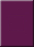 301 Г Фиолетовый