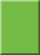 305 Г Весенний зелёный